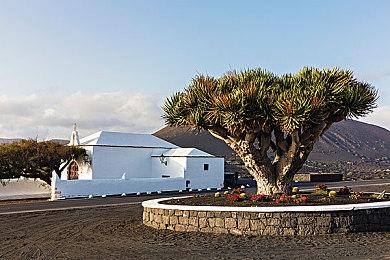 《巫师4》开发者：游戏从构思到制作 需花费5-6年时间