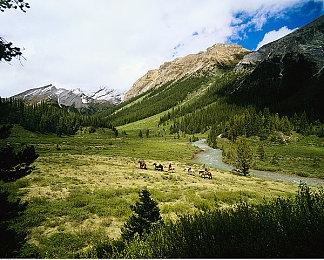 鹰角网络《泡姆泡姆》Steam页面上线 发售日期待定