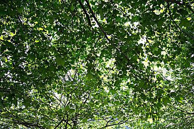 韩国多人动作游戏《遗迹计划》发布最终原型预告